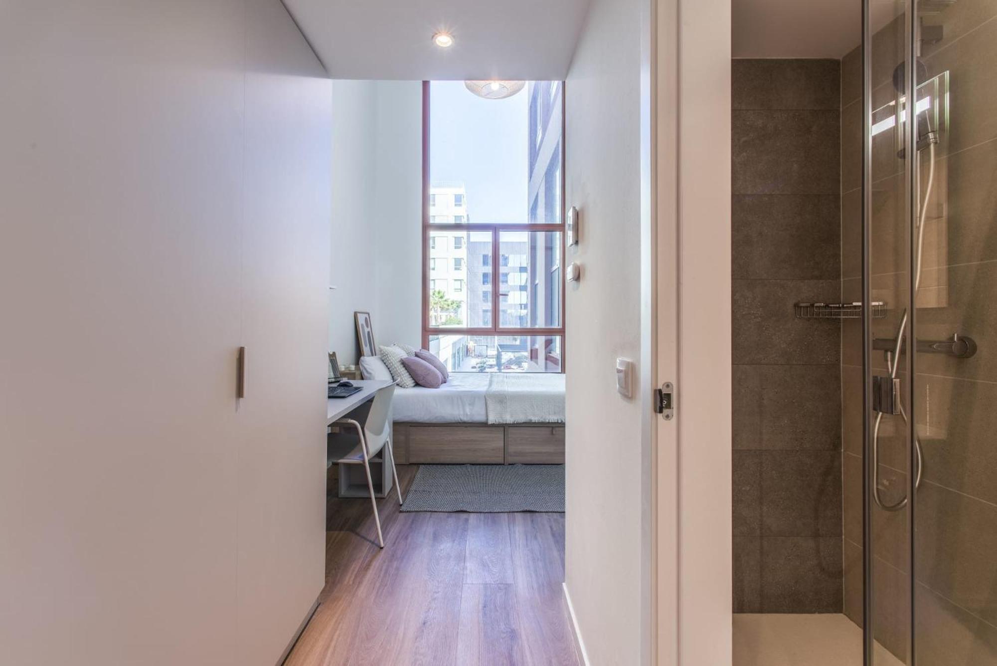 Exclusivamente Para Estudiantes Lujosas Y Estudios Elegantes En Cristobal De Moura Appartement *